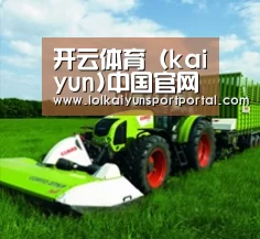 关于开云电竞