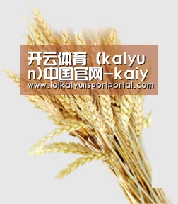 开云体育（kaiyun)中国官网-kaiyun登录入口
