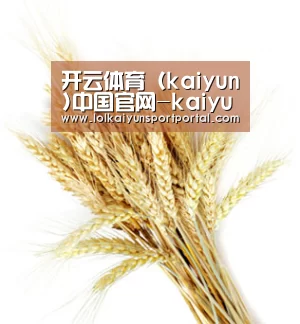 开云体育（kaiyun)中国官网-kaiyun登录入口
