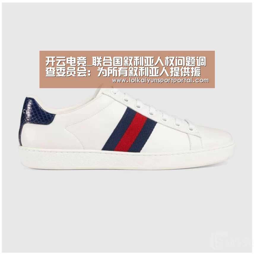 开云电竞_联合国叙利亚人权问题调查委员会:为所有叙利亚人提供援助必须得到保障(图1) 电竞官网