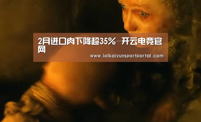 2月进口肉下降超35%-开云电竞官网(图3) LOL直播