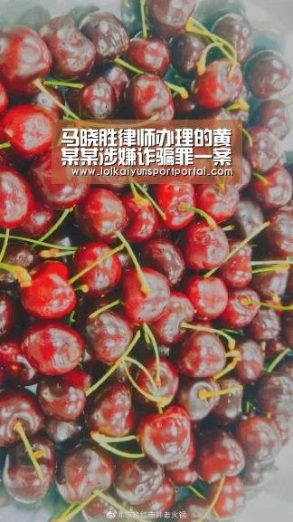 电竞官网