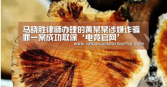 电竞官网
