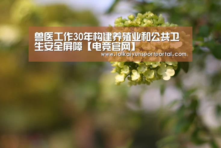 开云电竞官网